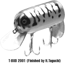 T-BUD